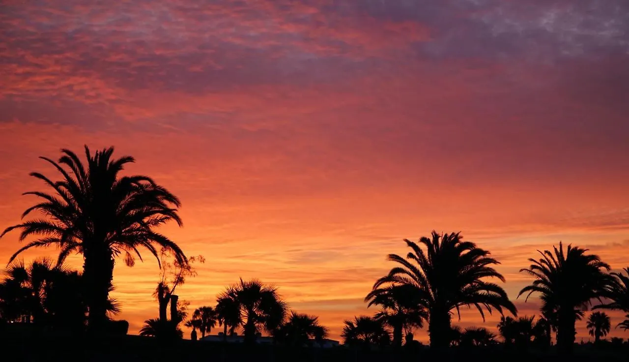 One Bedroom Apartment, Garden City, Heated Pool, Close To Beach Playa Las Americas Playa de las Americas  Playa de las Americas (Tenerife)